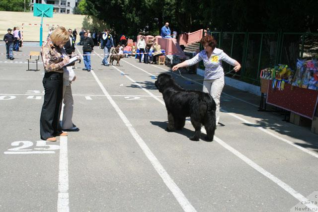 Фотография № 13482