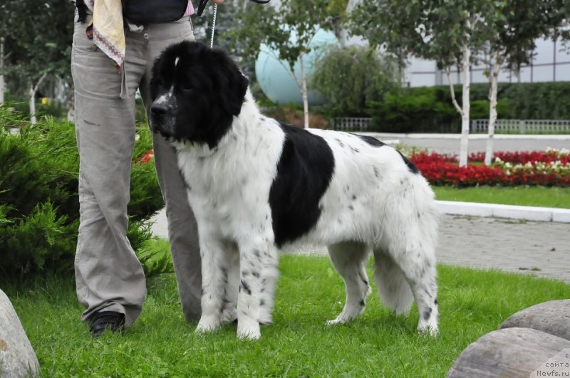 Фотография № 134824