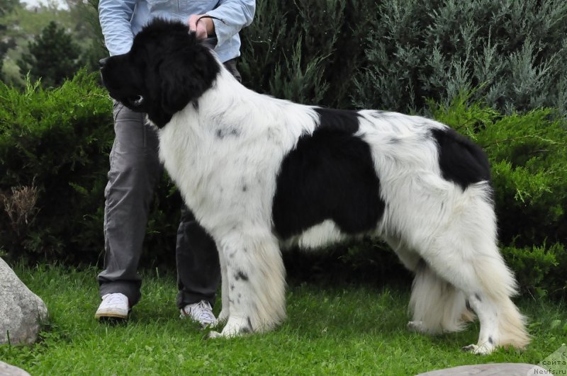 Фотография № 134827