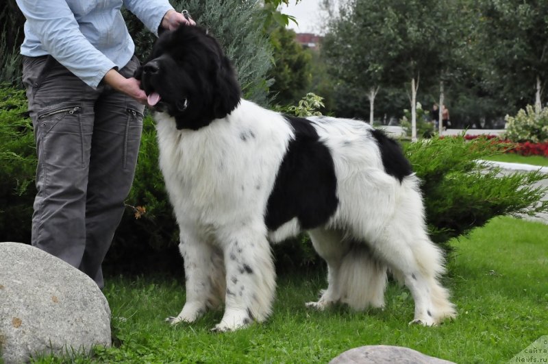 Фотография № 134829