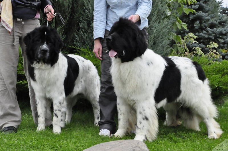 Фотография № 134831