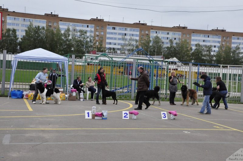 Фотография № 134832