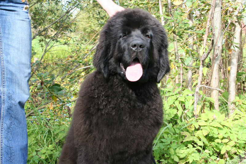 Фотография № 134905