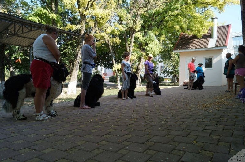 Фотография № 134913