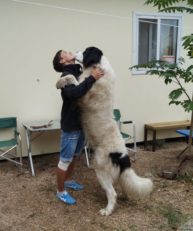 Фотография № 134916