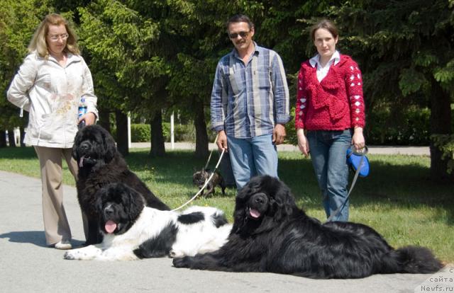 Фото: ньюфаундленд Lesnaya Skazka Ruslana (Лесная Сказка Руслана), ньюфаундленд Super Bizon Baton (Супер Бизон Батон), ньюфаундленд Ygan s Toyanova Gorodka (Юган с Тоянова Городка)