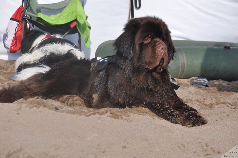 Фотография № 134935