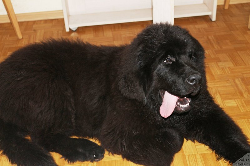 Фотография № 134942