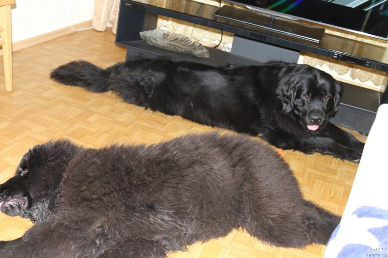 Фотография № 134944