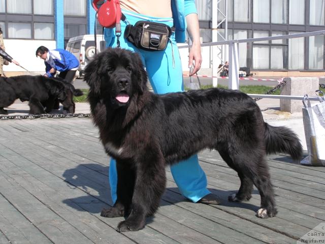 Фотография № 13498