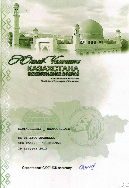 Фото: ньюфаундленд Bi Perfekt Arabella (Би Перфект Арабелла)