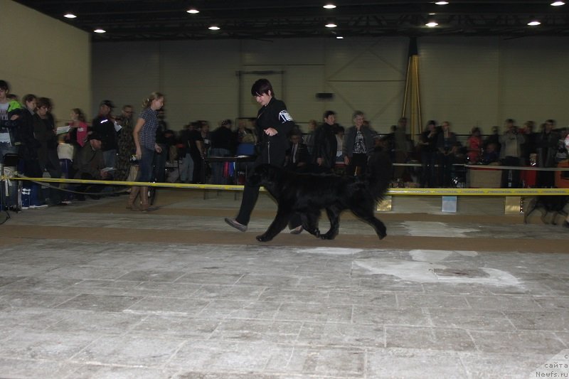 Фотография № 134990