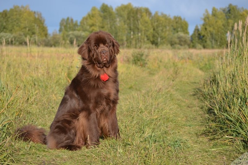 Фотография № 134998