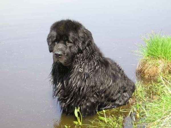 Фотография № 135