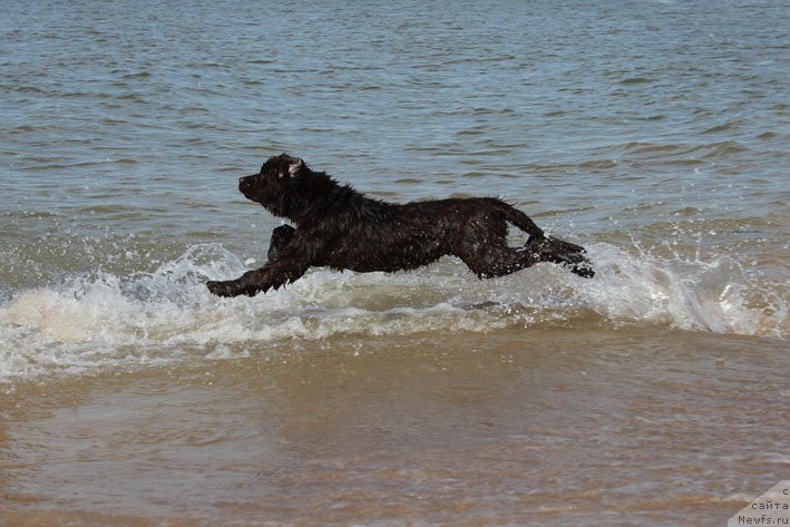 Фотография № 135007