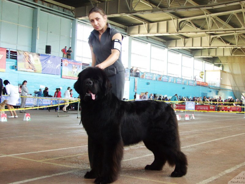 Фотография № 135010