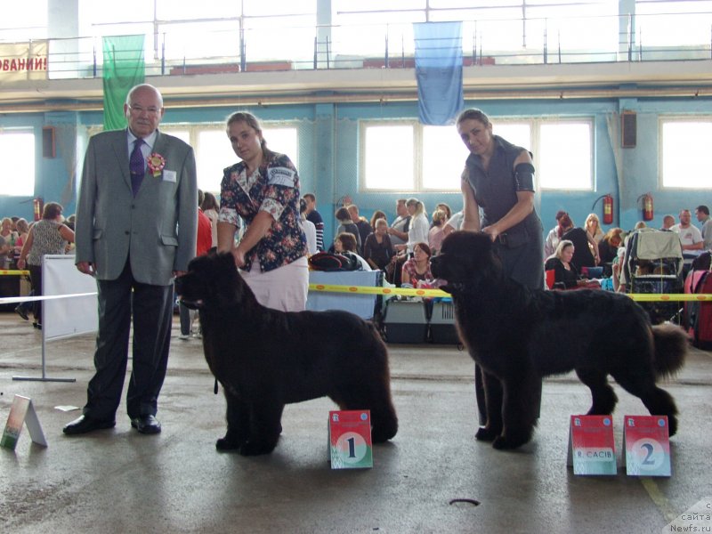 Фотография № 135011