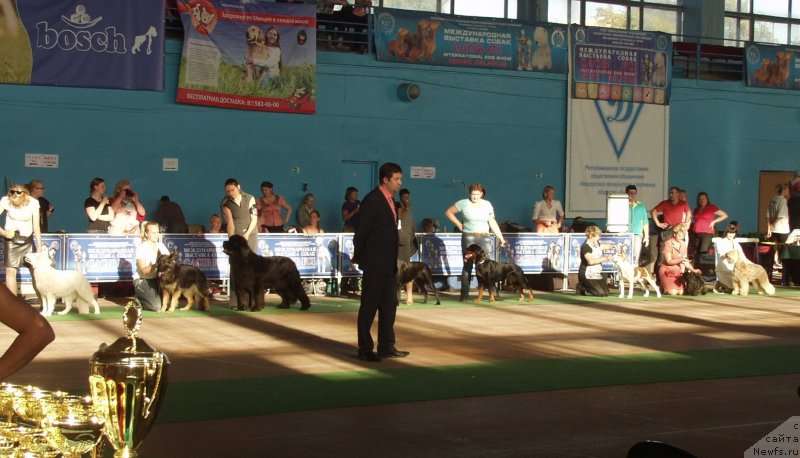 Фотография № 135014