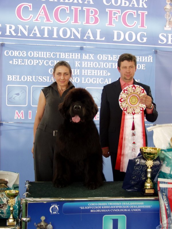 Фотография № 135016