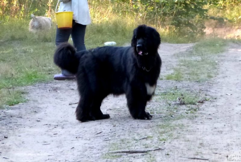 Фотография № 135044