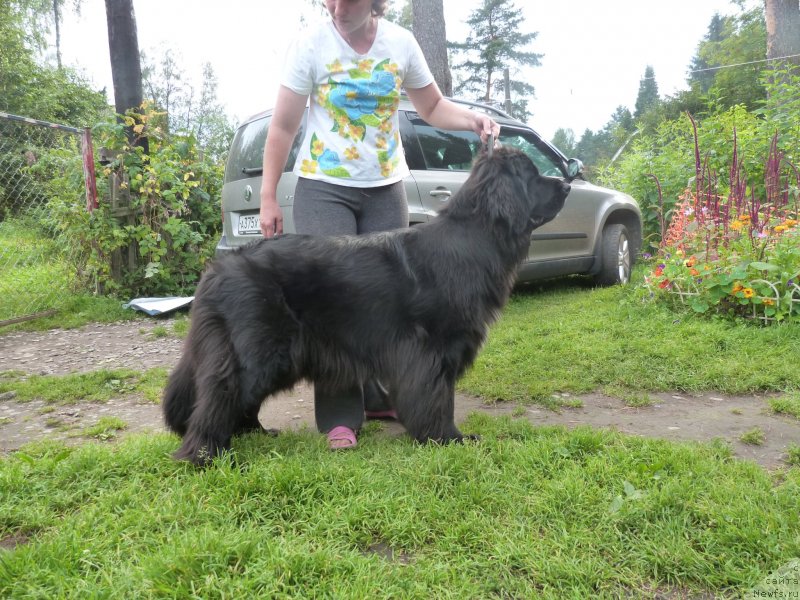 Фотография № 135051