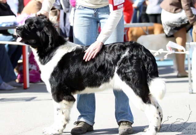 Фотография № 135053