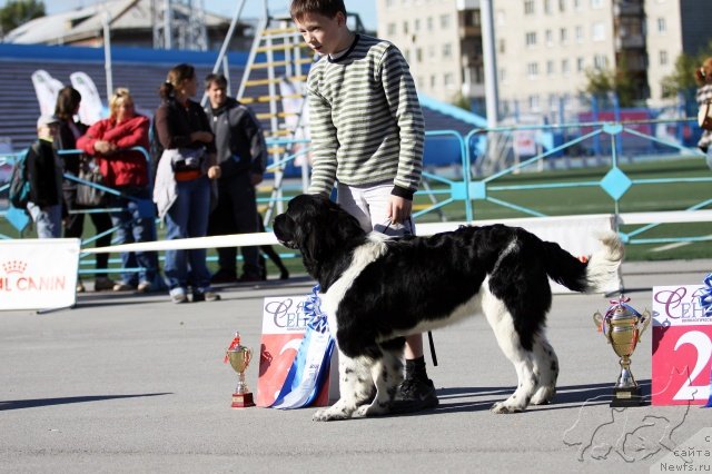 Фотография № 135054