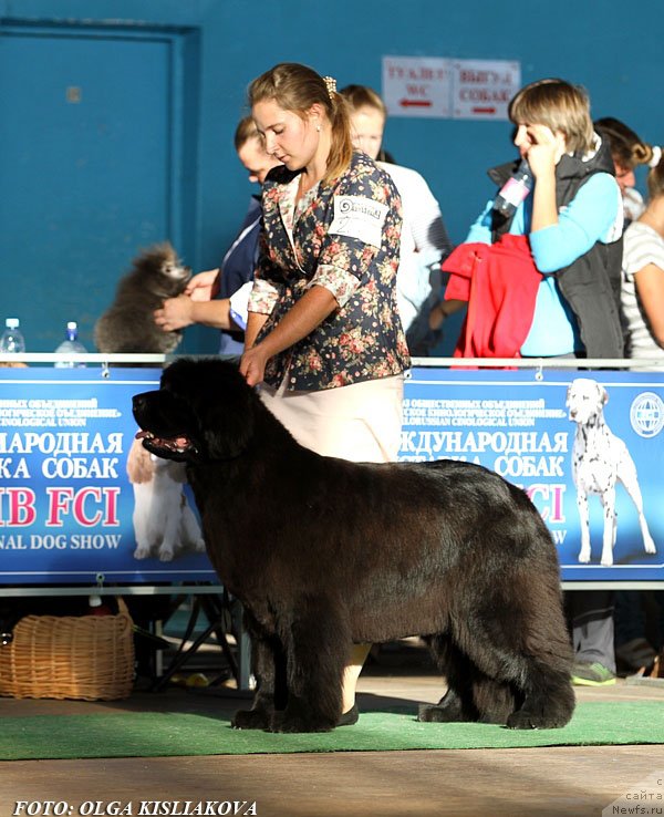 Фотография № 135086