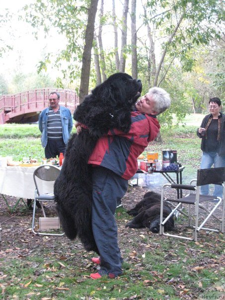 Фото: Donat Nikolaev (Донат Николаев)