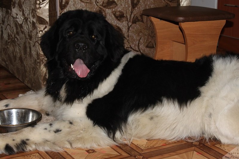 Фотография № 135133