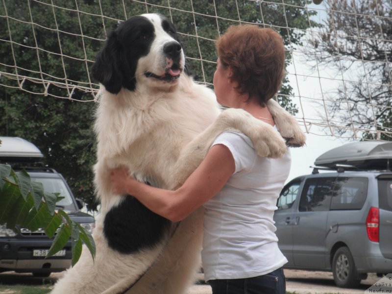 Фотография № 135159