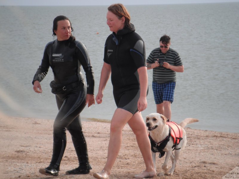 Фотография № 135162