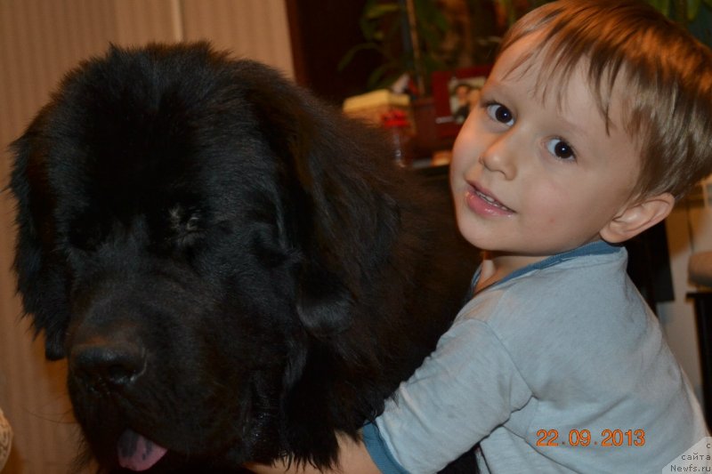 Фотография № 135187