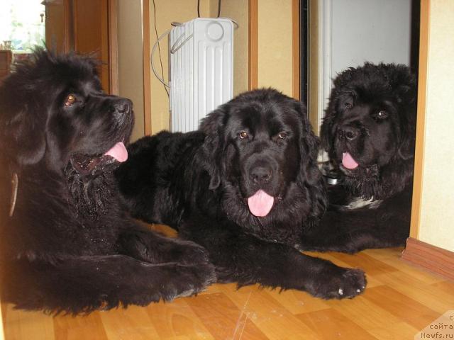 Фотография № 13522