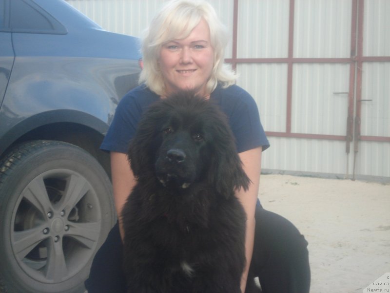 Фотография № 135237