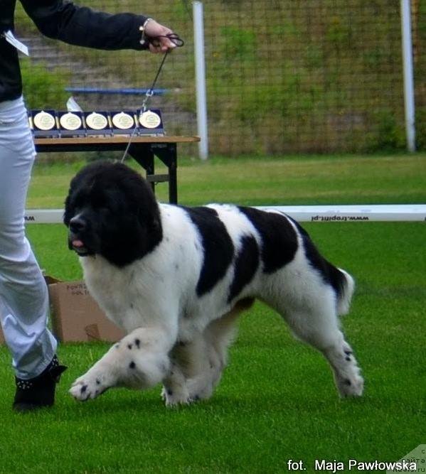 Фотография № 135257