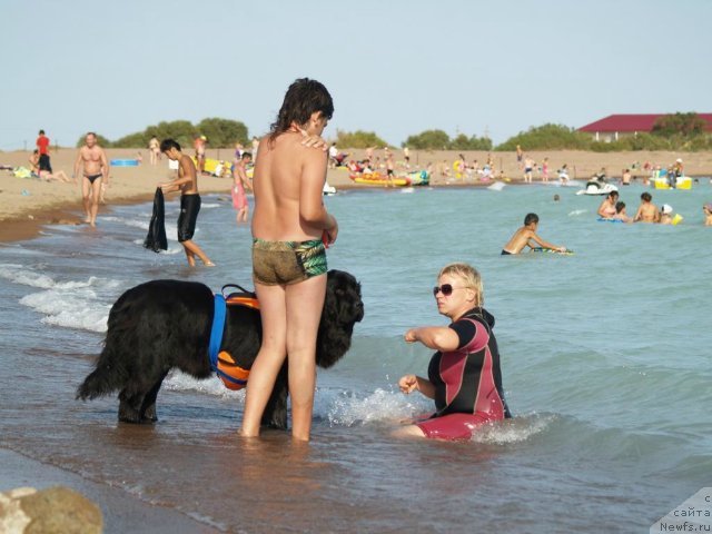 Фото: [d9818] и Ботов Данила