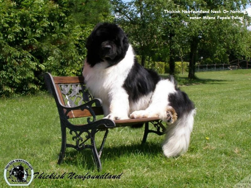 Фотография № 135290