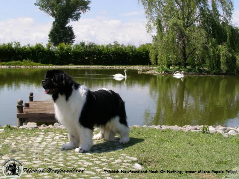 Фотография № 135291