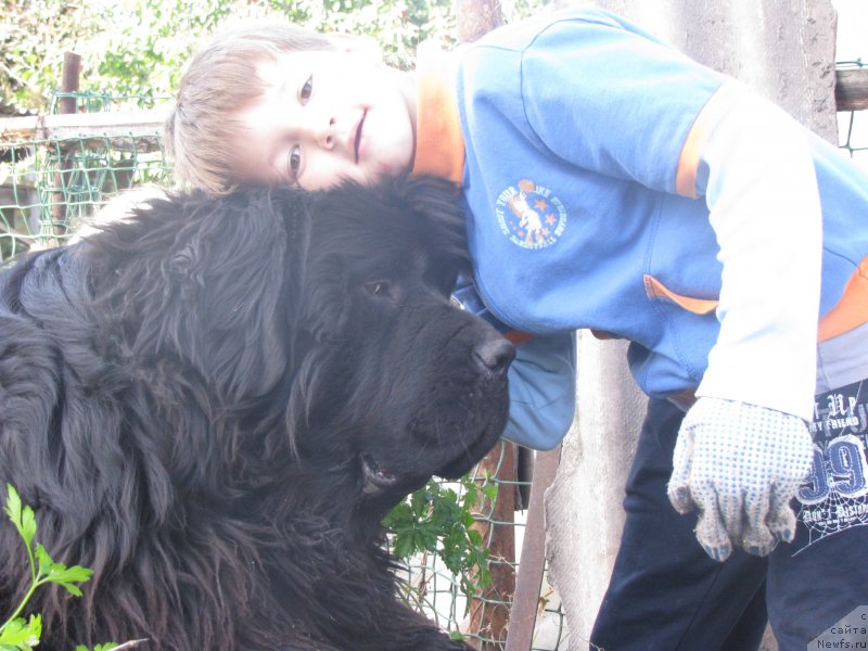 Фотография № 135322