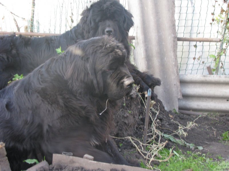 Фотография № 135323