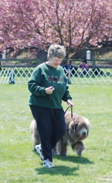 Фотография № 13533