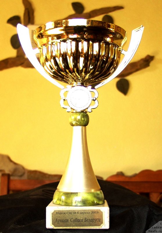 Фото: Viktor Hrischanovich (Виктор Хрищанович)