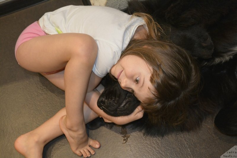 Фотография № 135337