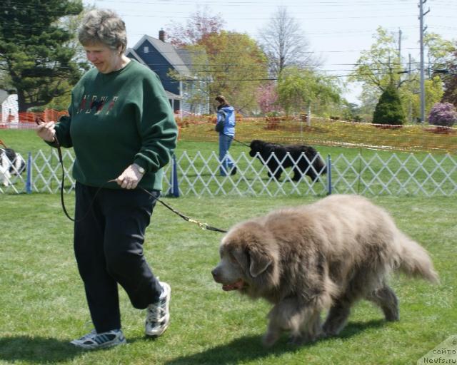 Фотография № 13534