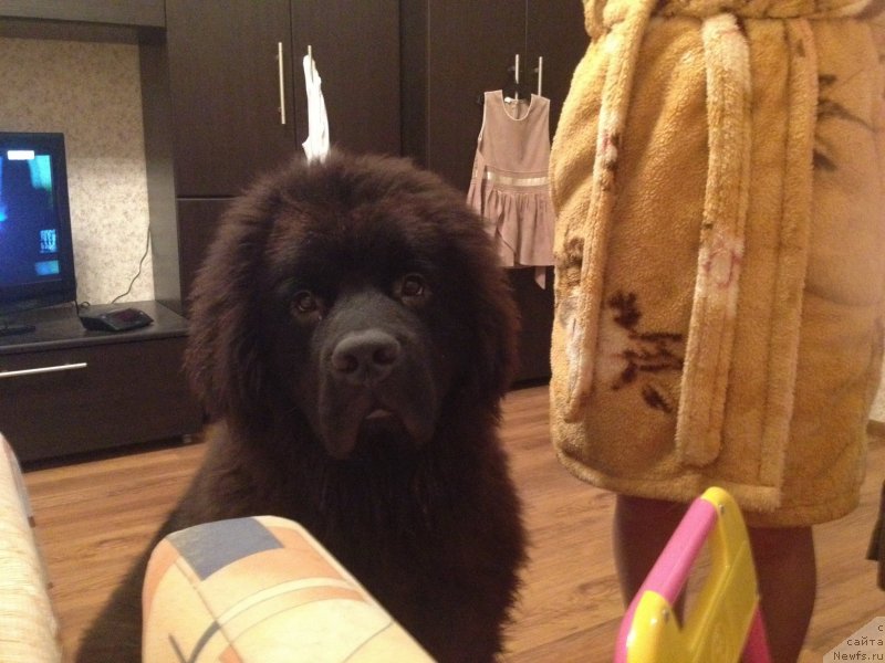 Фотография № 135363