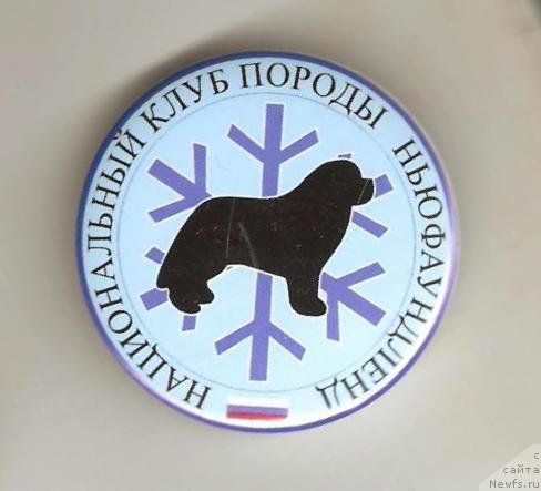 Фотография № 135372