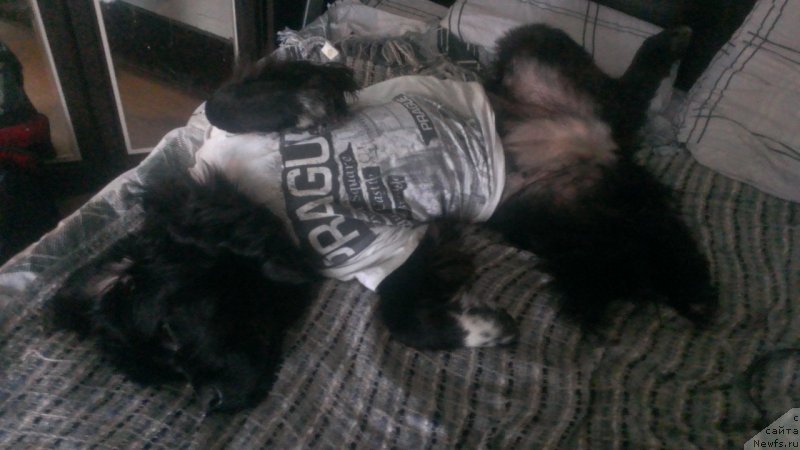 Фотография № 135376