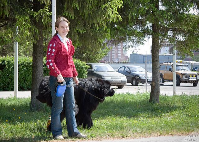Фото: ньюфаундленд Ygan s Toyanova Gorodka (Юган с Тоянова Городка), Nadejda Momot (Надежда Момот)