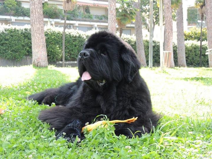 Фотография № 135435